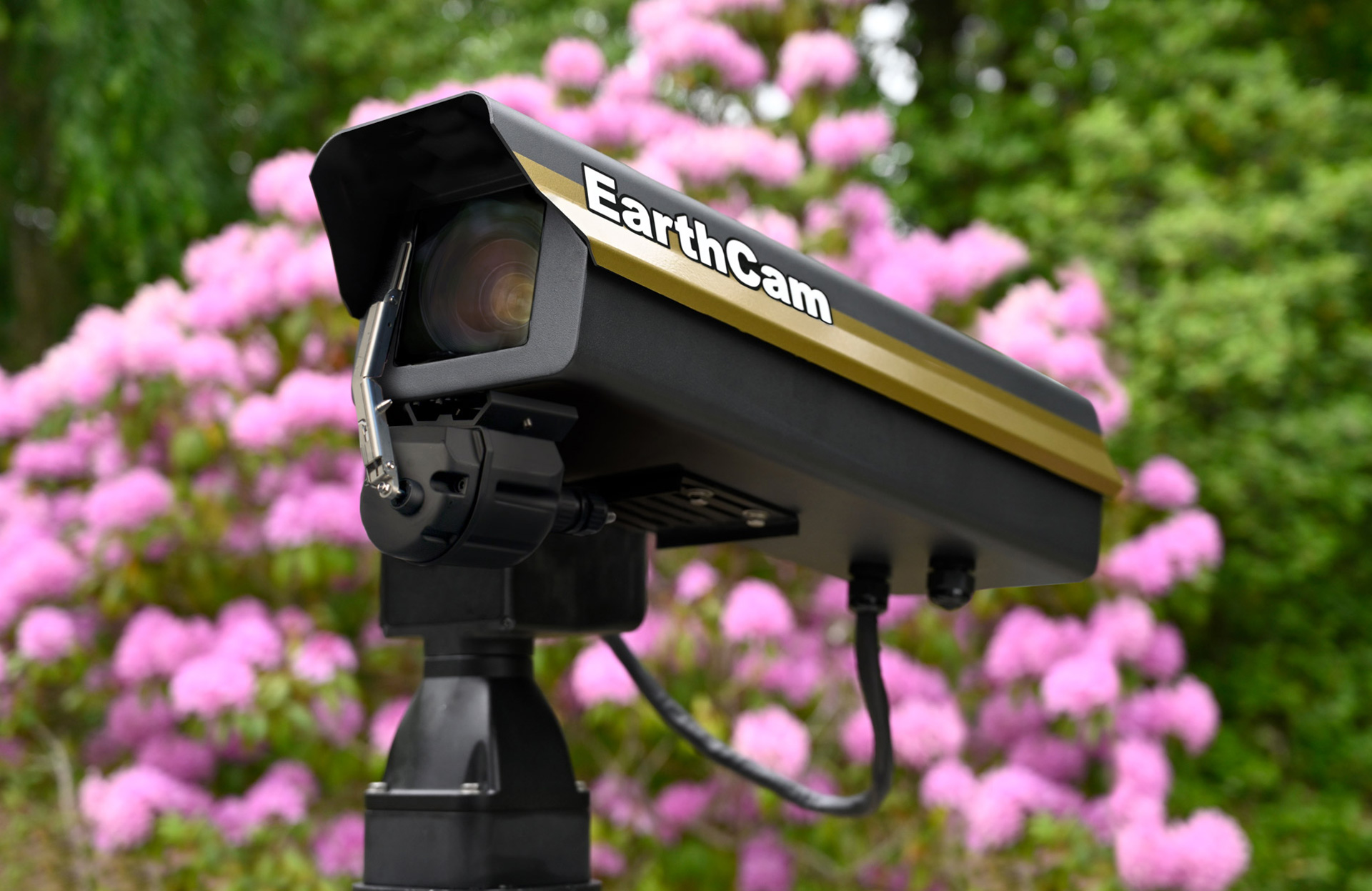61 MegapixelCam Ultra-high resolution fixed position time-lapse camera